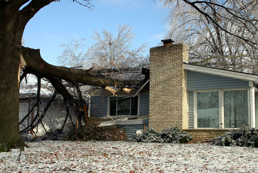 Wind Damage Restoration Services