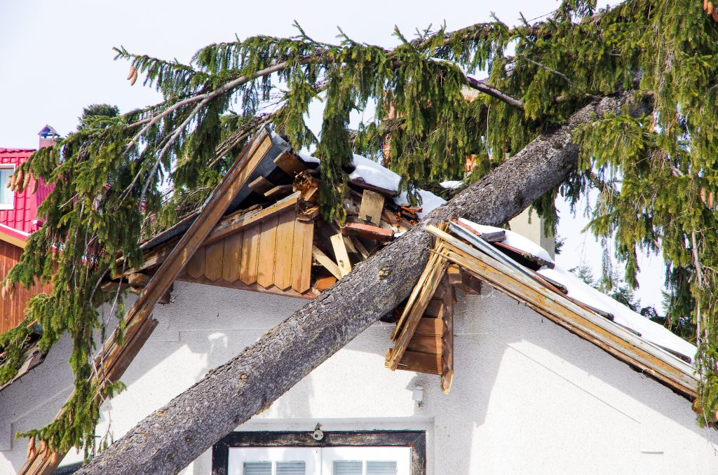 home /property restoration services