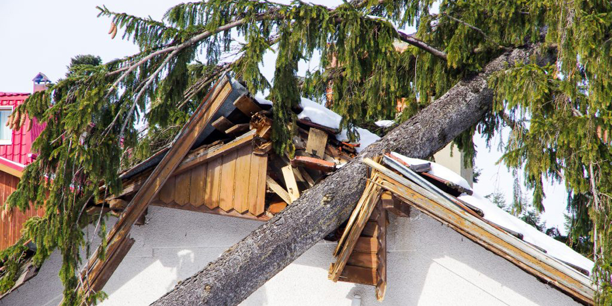 Wind & Storm Damage Restoration Service